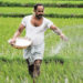 Govt intensifying efforts for self-sufficiency in P&K fertilizers