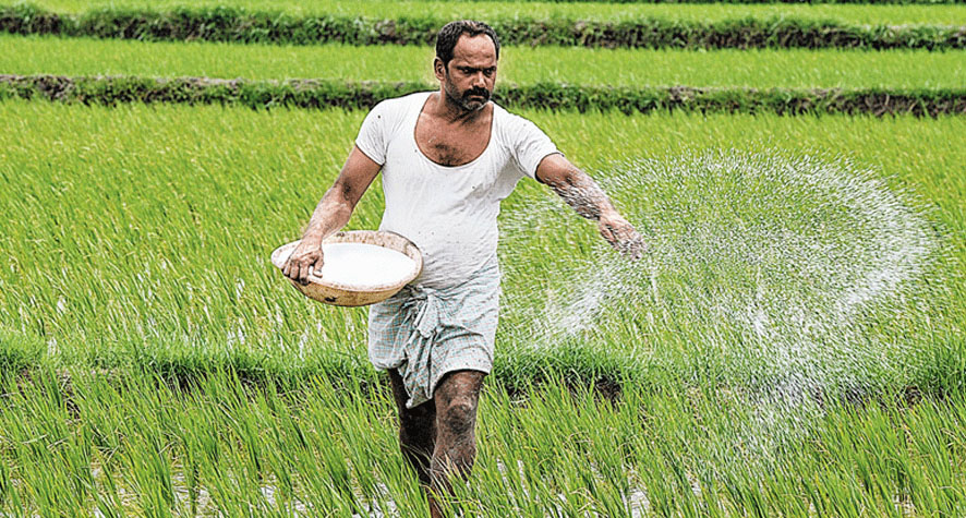 Govt intensifying efforts for self-sufficiency in P&K fertilizers