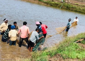 NCDC forming Fish FPOs in coastal states