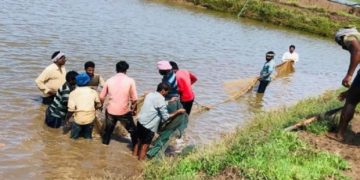 NCDC forming Fish FPOs in coastal states