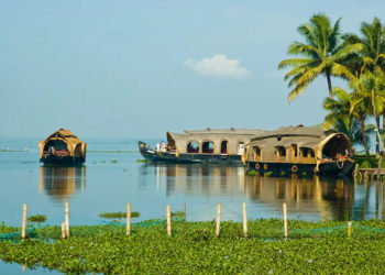 Co-op membership as percentage of population, highest in Kerala