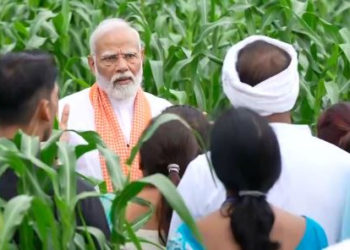 PM launches 109 high-yielding crop varieties