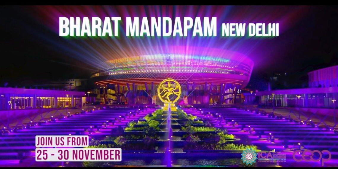 Building Excitement: Day 1 (Nov 25) set to Launch IYC 2025