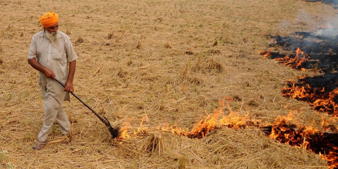 Punjab: Co-ops invoked to check paddy straw burning