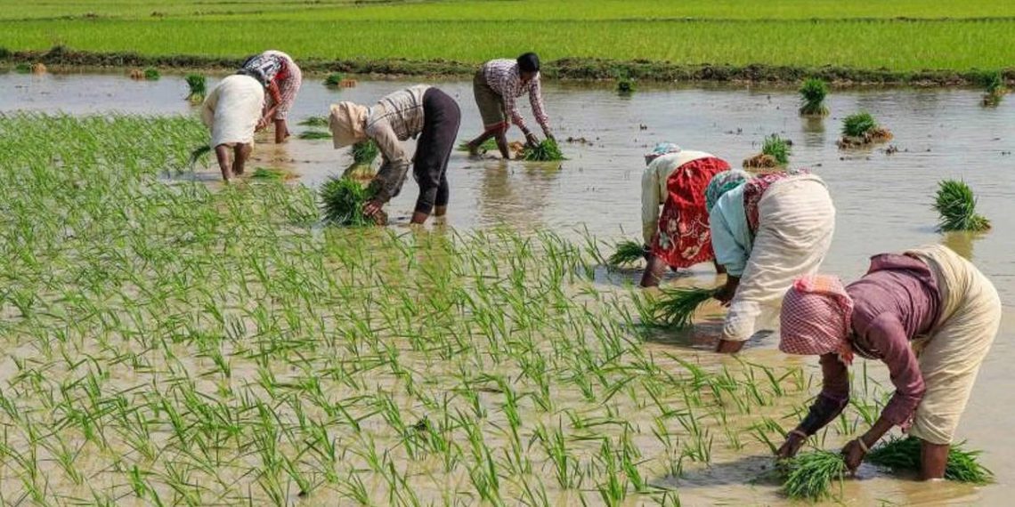 40,214 PACS functioning as Common Service Centres