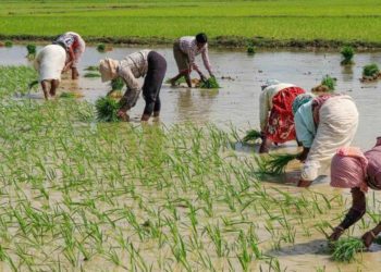 40,214 PACS functioning as Common Service Centres