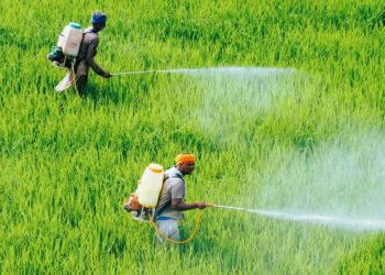 No shortage of DAP in Punjab: Central Govt