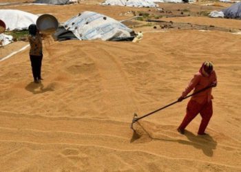 Grain Storage Plan extended with 599 additional PACS