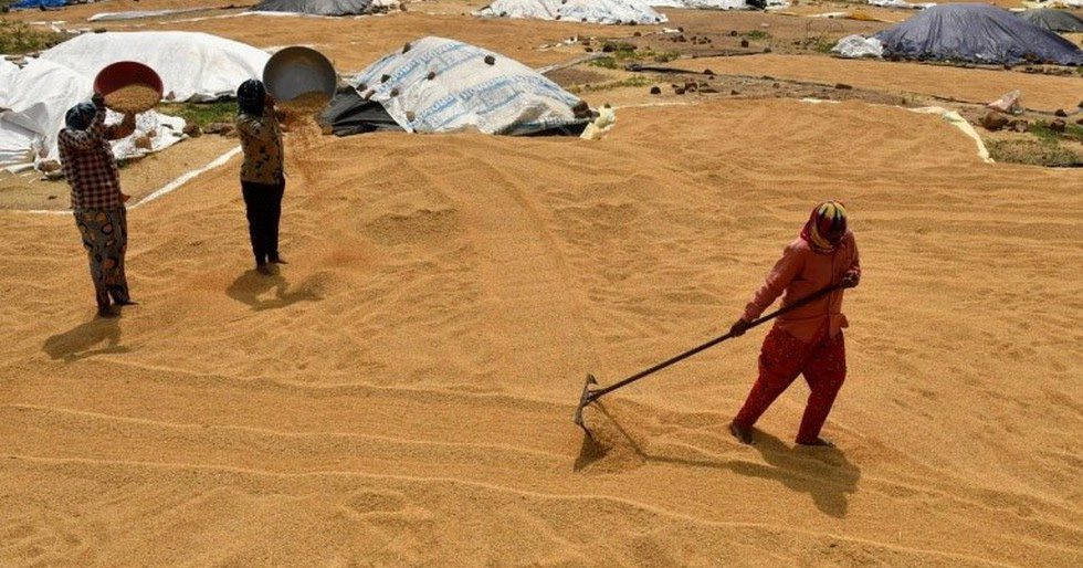 Grain Storage Plan extended with 599 additional PACS