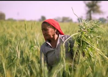 BBSSL welcomes 14,816 new Cooperatives from Odisha