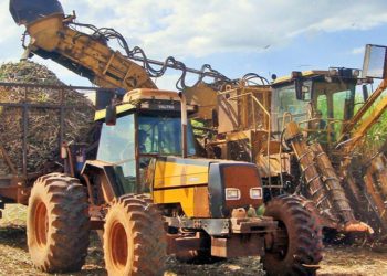 Sugarcane crushing & production gain momentum: NFCSF