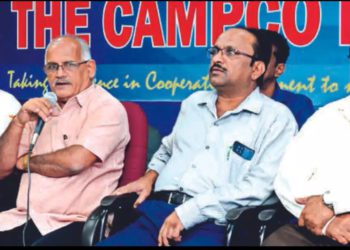 Roasted Arecanut imports threaten Indian growers: CAMPCO