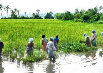 Defunct co-ops to be wound by March 2025