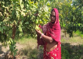 NABARD’s TDF Projects impact 52000 tribal families in Rajasthan