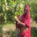 NABARD’s TDF Projects impact 52000 tribal families in Rajasthan