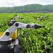 Government leverages AI to boost Farming Sector