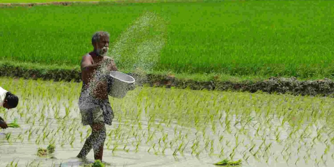Groundnut procurement dates extended in Gujarat & Karnataka