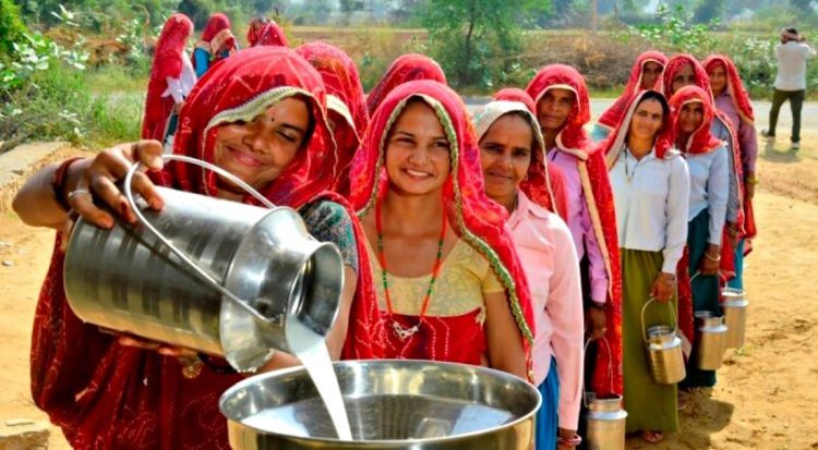 New Women-run Milk Producer Organization eyes Rs 1,800cr turnover