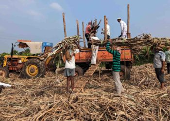 NCDC gears up to provide Rs10K cr to co-op sugar mills