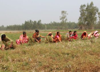 10,000 FPOs achieved under Government’s Flagship Scheme: PIB