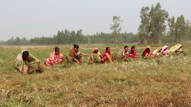 10,000 FPOs achieved under Government’s Flagship Scheme: PIB