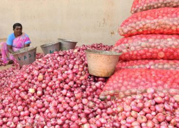 Centre abolishes 20% Export Duty on onions