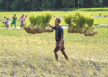 Odisha PACS busy expanding their roles