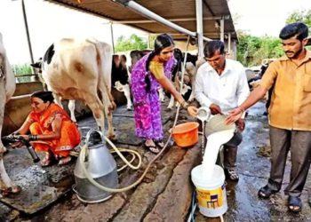 NDDB manages 2 Lakh plus District Dairy Co-ops: Shah