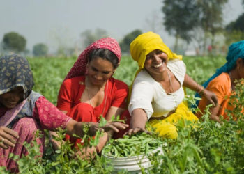 India sets up 19,619 Multipurpose Co-ops; targets 2 lakh in five years