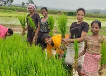 NAFED forms 1,200 FPOs and 500 Fisheries Co-ops