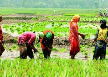MoS joins forces to boost Organic Farming in Haryana