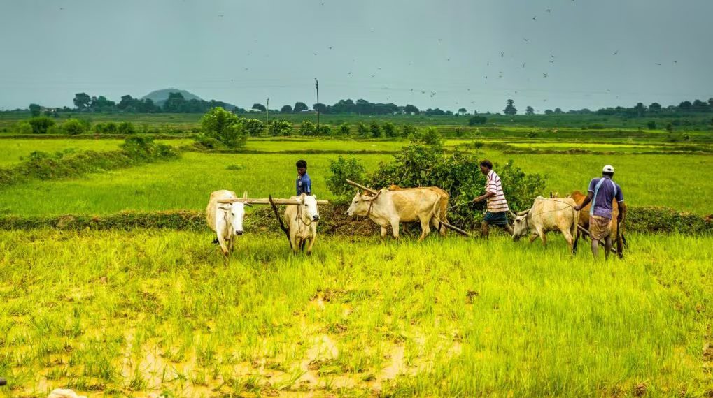 Cabinet okays continuation of Interest Subvention Scheme