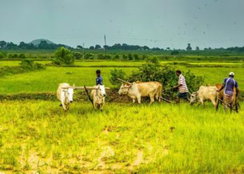 Cabinet okays continuation of Interest Subvention Scheme