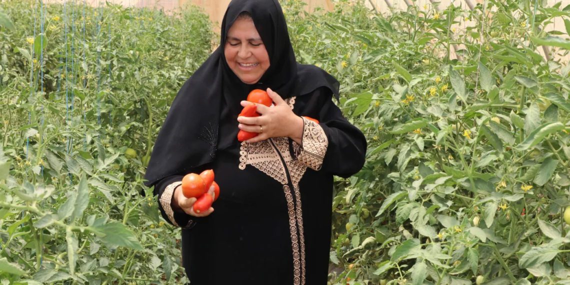 Jordan modernizes Co-op Law to boost development