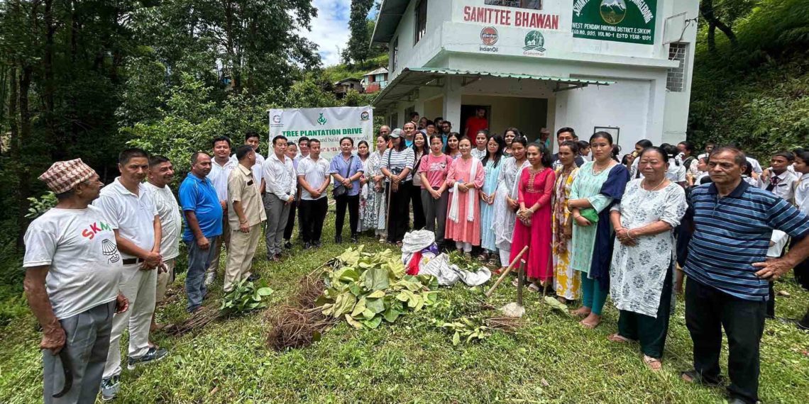 Sikkim: West Pendam Co-op Society leads Tree Plantation Drive