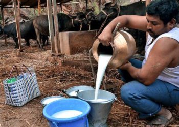 Himachal becomes first state to offer MSP on milk