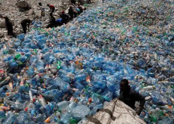 Co-op to cutover 100 tonnes of Plastic with new packaging