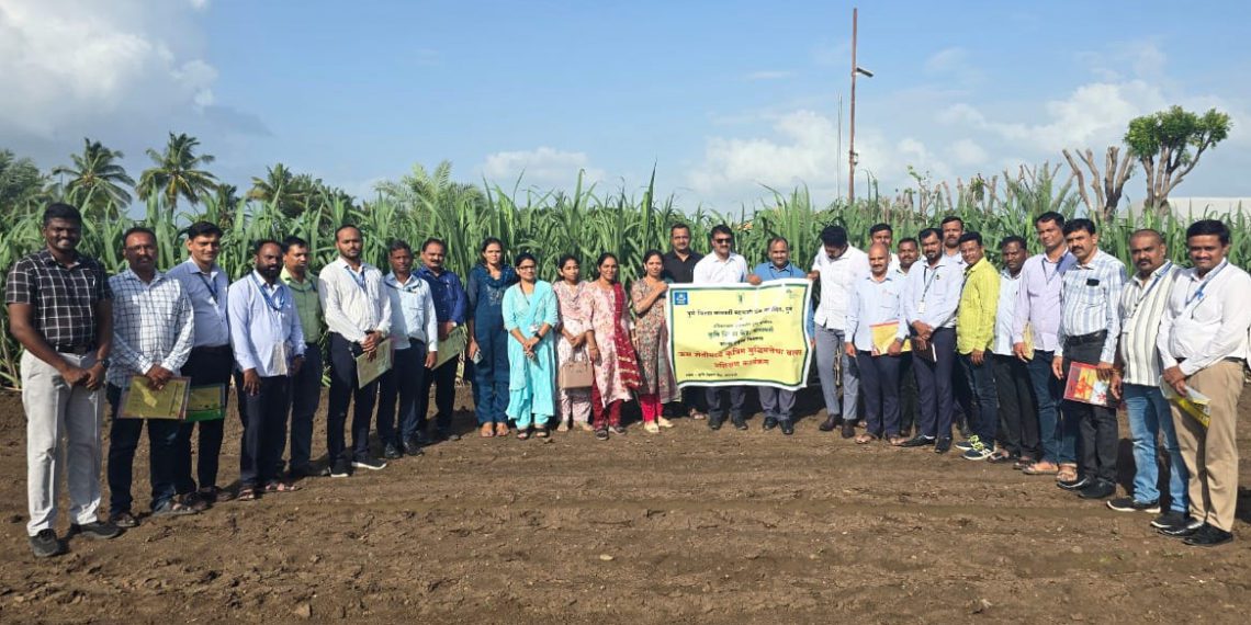Use of AI in Sugarcane Farming: Pune DCCB debates