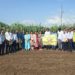 Use of AI in Sugarcane Farming: Pune DCCB debates