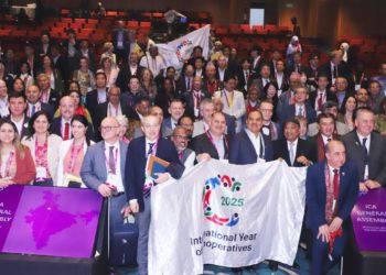 How can co-ops keep the momentum from the international year?