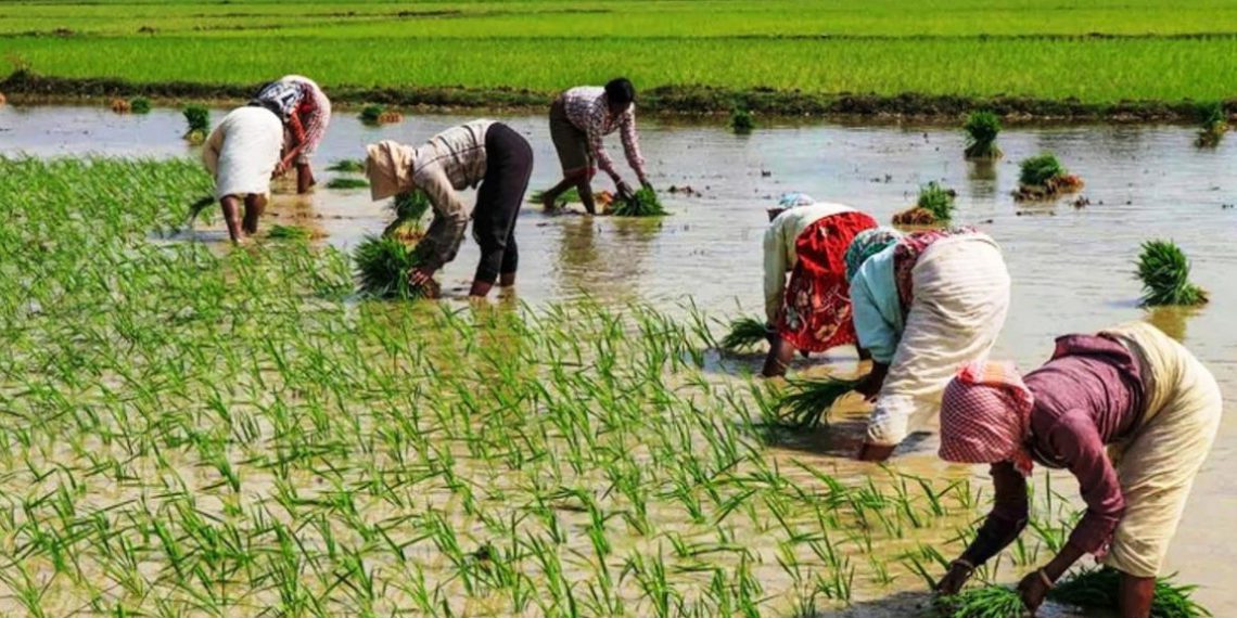 Computerization: Day-end process completed in 71% of PACS