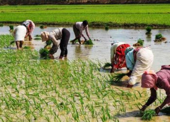 Computerization: Day-end process completed in 71% of PACS