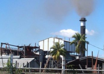 Odisha approves revival of defunct Sugar Mills by IPL