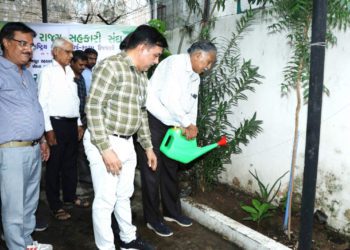 Amin marks International Year with Tree Plantation