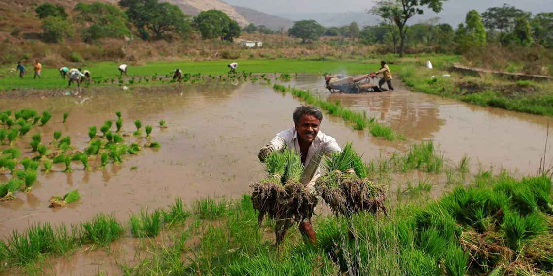 Over 1.79 crore farmers registered on e-NAM