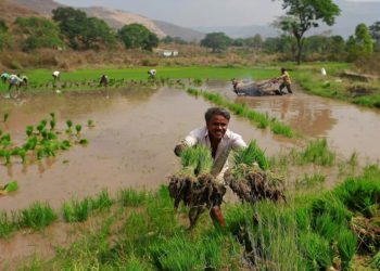 Over 1.79 crore farmers registered on e-NAM