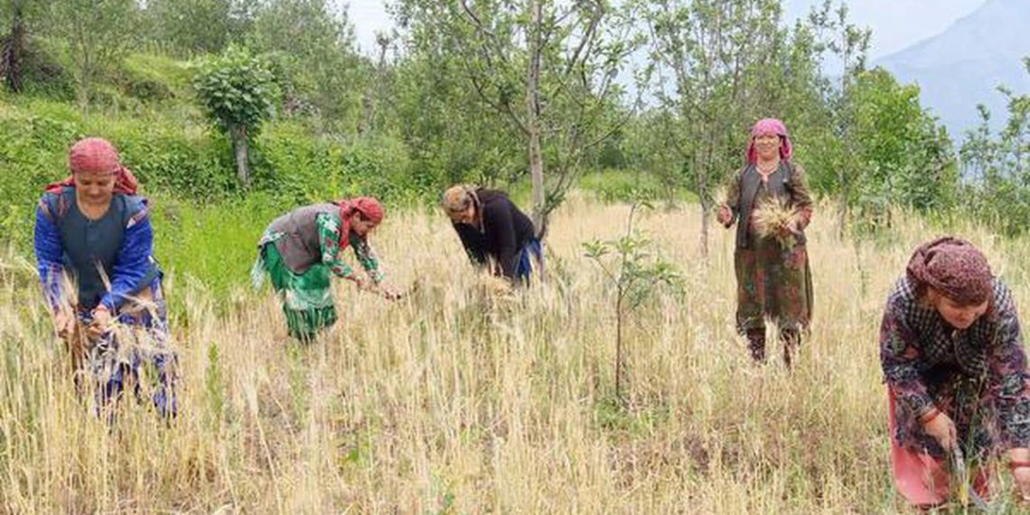 Himachal plans 50% Loan Interest Waiver