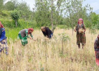 Himachal plans 50% Loan Interest Waiver