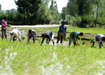 Maharashtra Co-op Banks hit by rise in farm NPAs