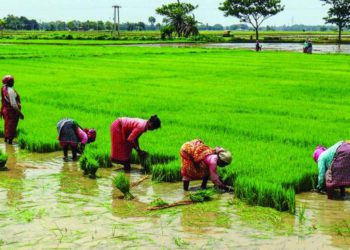 59,920 PACS integrated into ERP system